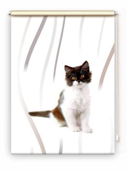Rollo Felix vertic Katzenbaby, Rollo, Motivrollo, Rollo mit Druck, Fotorollo, bedrucktes Rollo, Fensterrollo,verdunkelndes Rollo, Sonnenschutz Rollo